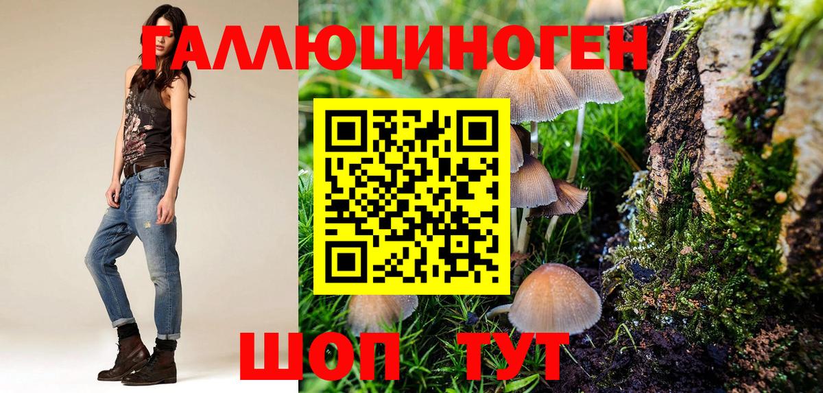 Галлюциногенные грибы Magic Shrooms Кстово