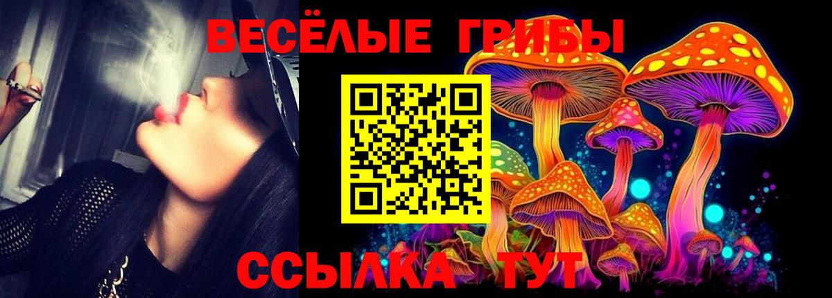 Галлюциногенные грибы GOLDEN TEACHER  Вход с VPN  Кстово 